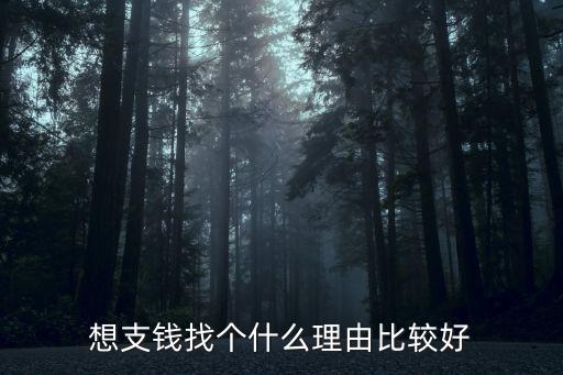 想支錢找個(gè)什么理由比較好