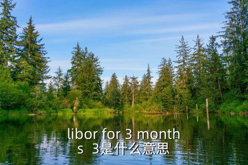 libor for 3 months  3是什么意思