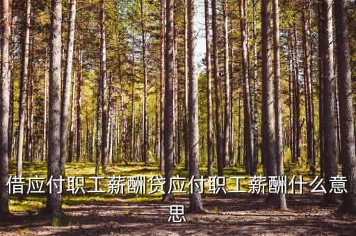 借應(yīng)付職工薪酬貸應(yīng)付職工薪酬什么意思