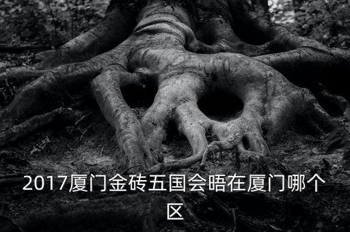 2017廈門(mén)會(huì)有什么會(huì)議，2017年廈門(mén)峰會(huì)多少時(shí)間開(kāi)幕是幾點(diǎn)