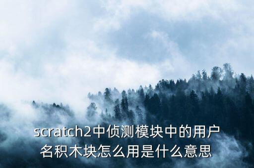 scratch2中偵測模塊中的用戶名積木塊怎么用是什么意思
