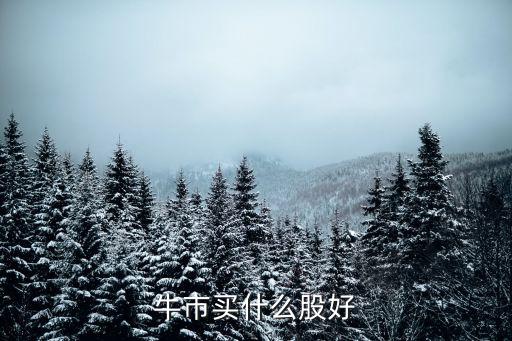 牛市買什么股好