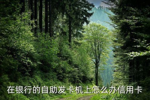 在銀行的自助發(fā)卡機(jī)上怎么辦信用卡
