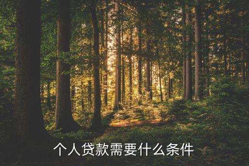 個人貸款需要什么條件
