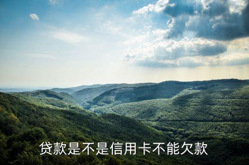 什么卡不能還貸款，中國銀行長城電子借記卡可以還貸款嗎