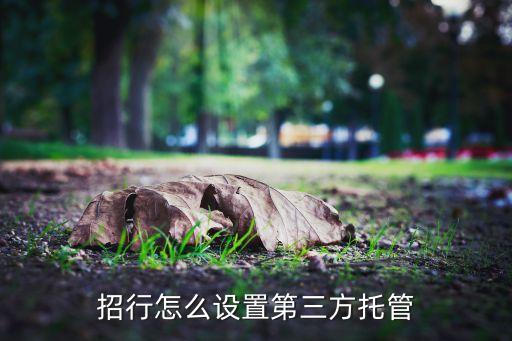 招行怎么設(shè)置第三方托管