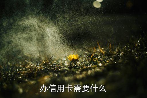 辦理信用卡都需要什么資料，辦理信用卡需要哪些資料