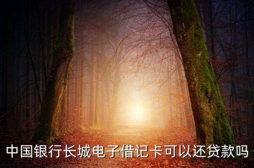 中國(guó)銀行長(zhǎng)城電子借記卡可以還貸款嗎