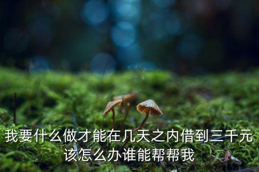 我要什么做才能在幾天之內(nèi)借到三千元該怎么辦誰能幫幫我