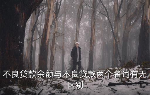 不良金額是指什么，不良貸款余額與不良貸款兩個(gè)名詞有無區(qū)別