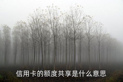 信用卡什么是額度共享，額度共享是什么意思