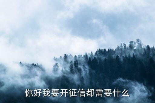 你好我要開征信都需要什么