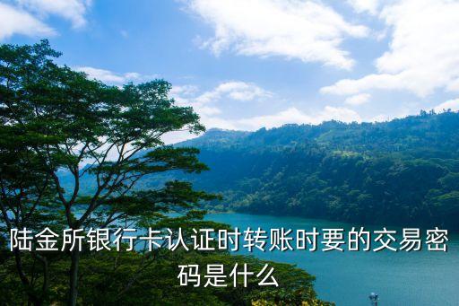陸金所原始交易密碼是什么意思，保尊寶陸金所交易密碼是什么密碼是不是支付密碼我輸入了登錄密