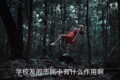 學(xué)校發(fā)的市民卡有什么作用啊