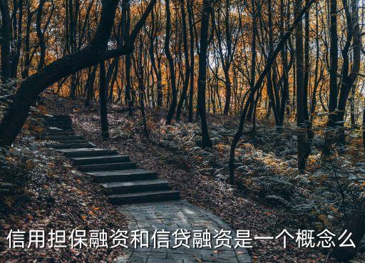 信貸融資是什么意思，貸款融資大概是個(gè)什么意思