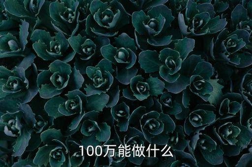100萬能做什么