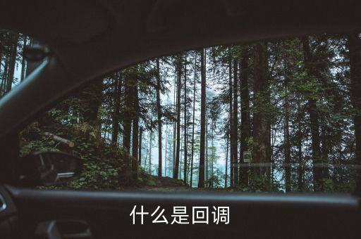 什么是回調(diào)