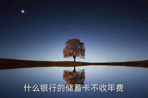 什么銀行的儲蓄卡不收年費