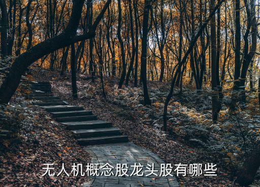 無人機概念股龍頭股有哪些