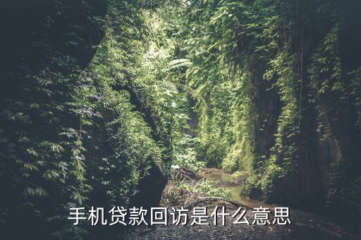 手機(jī)貸款回訪是什么意思