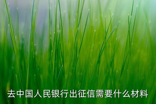 去中國人民銀行出征信需要什么材料