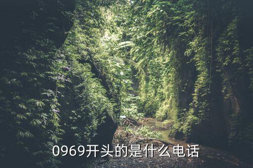 0969開頭的是什么電話