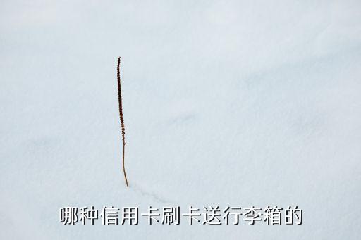 哪種信用卡刷卡送行李箱的