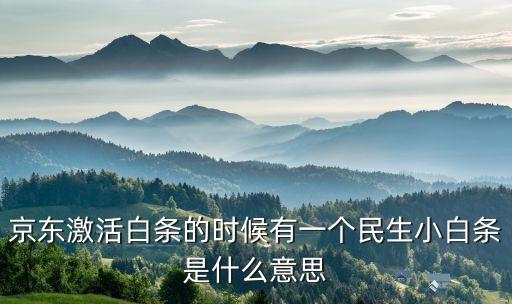 京東激活白條的時候有一個民生小白條是什么意思