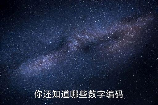 小數(shù)字的代碼是什么東西，數(shù)字編碼是什么
