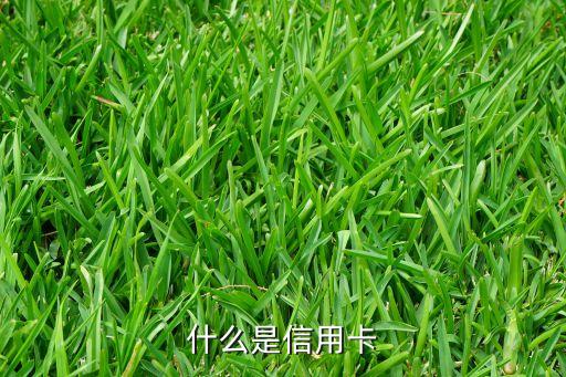 信用卡卡片是什么，信用卡是什么樣的