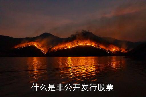 非公開招股什么意思，非公開發(fā)行的股是什么意思