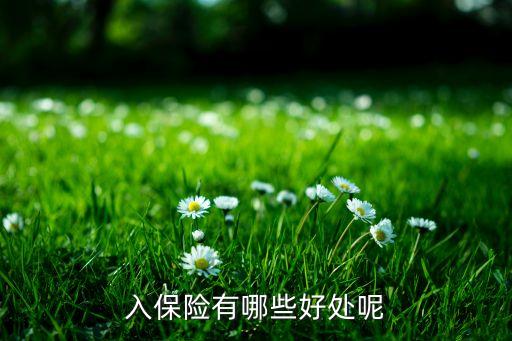 入保險有哪些好處呢