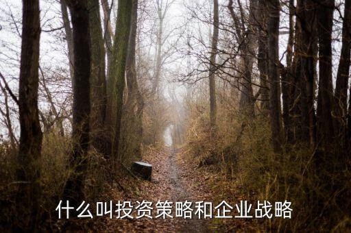 什么叫投資策略和企業(yè)戰(zhàn)略
