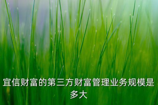宜信財(cái)富的第三方財(cái)富管理業(yè)務(wù)規(guī)模是多大