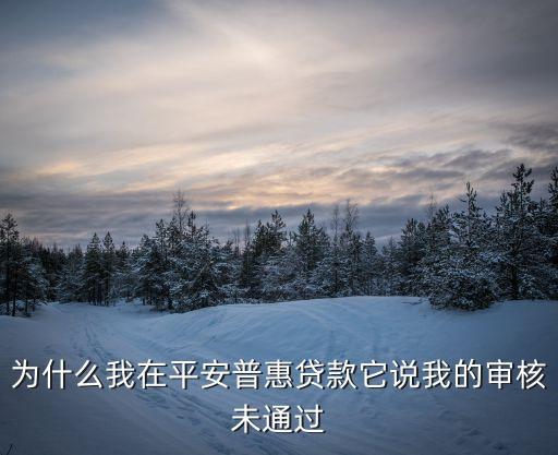 為什么我在平安普惠貸款它說我的審核未通過