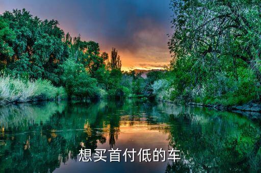 想買(mǎi)首付低的車(chē)