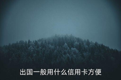 什么信用卡可以出國(guó)用，什么樣的信用卡可以在國(guó)外刷