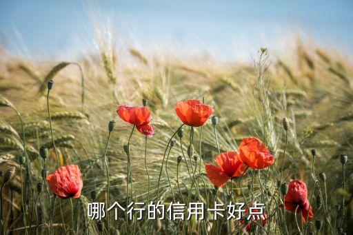 什么行信譽(yù)卡好封卡，選哪個(gè)行的信用卡好些呢