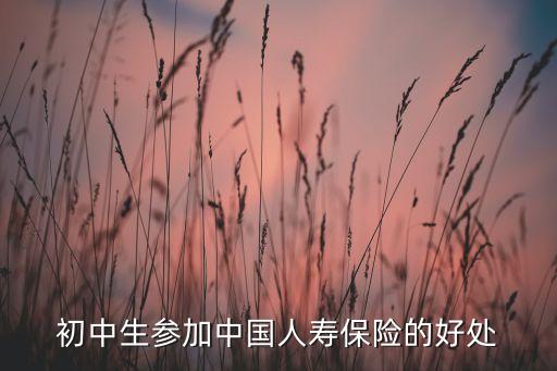 加入壽險有什么好處，參加人壽保險有好處嗎拜托了各位 謝謝