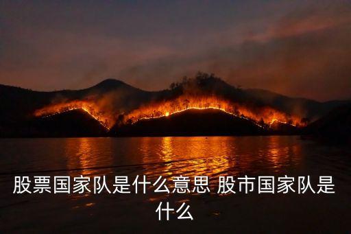 股票國(guó)家隊(duì)是什么意思 股市國(guó)家隊(duì)是什么