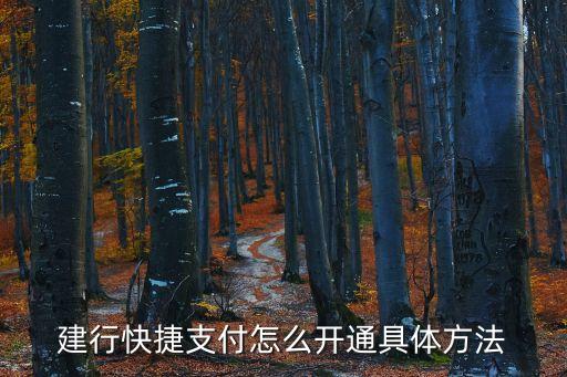 建行怎樣開通快捷支付密碼是什么，建行快捷支付怎么開通具體方法