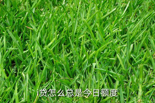 i貸怎么總是今日額度