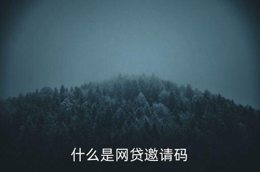 網(wǎng)貸推薦碼起什么作用，網(wǎng)貸填上邀請碼會不會提高通過率