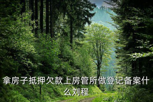 拿房子抵押欠款上房管所做登記備案什么劉程