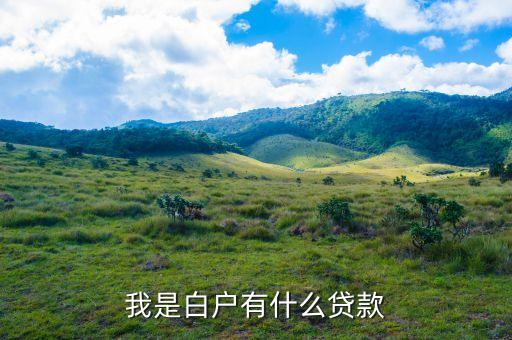 我是白戶有什么貸款