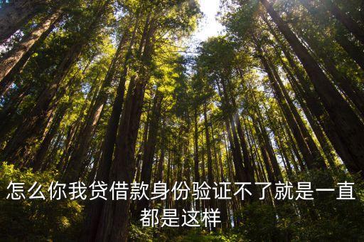 怎么你我貸借款身份驗證不了就是一直都是這樣