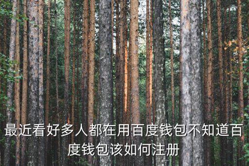 百度錢包是用什么注冊，百度錢包怎么申請