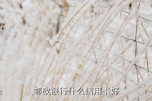 郵政銀行什么信用卡好