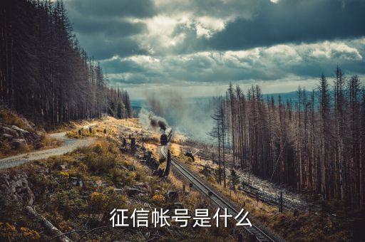 人行征信賬戶是什么，人行征信授權(quán)賬戶指的是什么