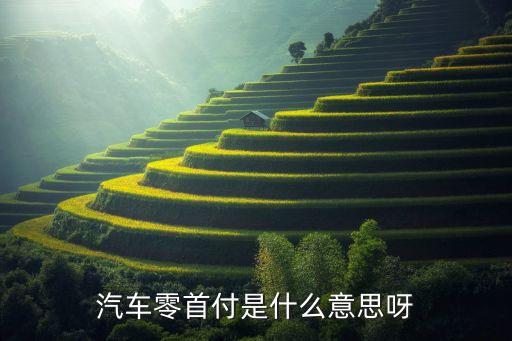 汽車(chē)零首付是什么意思呀